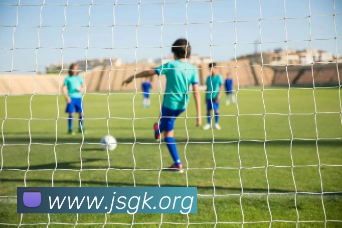 必一体育sport官网APP 高清赛事图